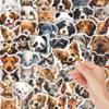 50PCS Cute Animal Cat Cartoon Stickers - Waterproof Decorative for DIY Notebooks & Luggage