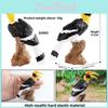 Wildlife Model Animal Solid Plastic Parrot And Hornbill Figures For Gift Kids
