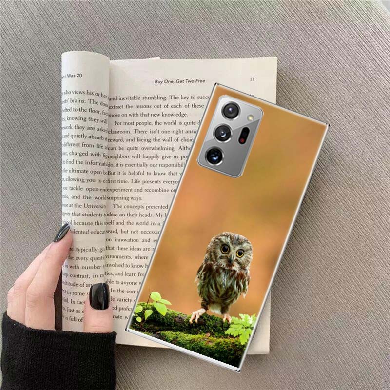 Snow Cute Owl Animal Phone Case For Samsung Galaxy S25 Edge S24 S23 FE S22 S26 Ultra S21 S20 S10 Plus Capa Soft