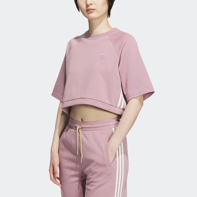 Adidas Originals Trefoil Toc Graphic Tee Striped Colorblock Crop Round Neck Sports Tee Women Tops Magic-Purple Pink IN1007