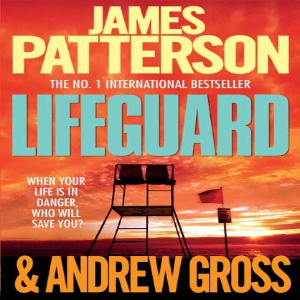 Lifeguard by Andrew Gross Paperback Book 9780755349494