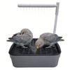Automatischer Vogelbrunnen Vogeldusche Umwälzbrunnen für kleine Heimvögel Badewannenbrunnen Heimvogelbadewanne
