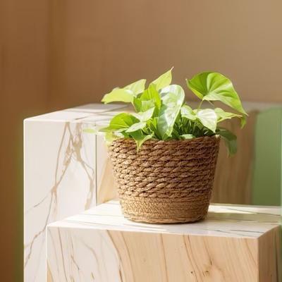 1 Stück Mini/S/M/L Grasgewebter Blumentopf für Gartenterrassen Pflanzen Blumenkorb Sämlingsbehälter Pflanzkorb