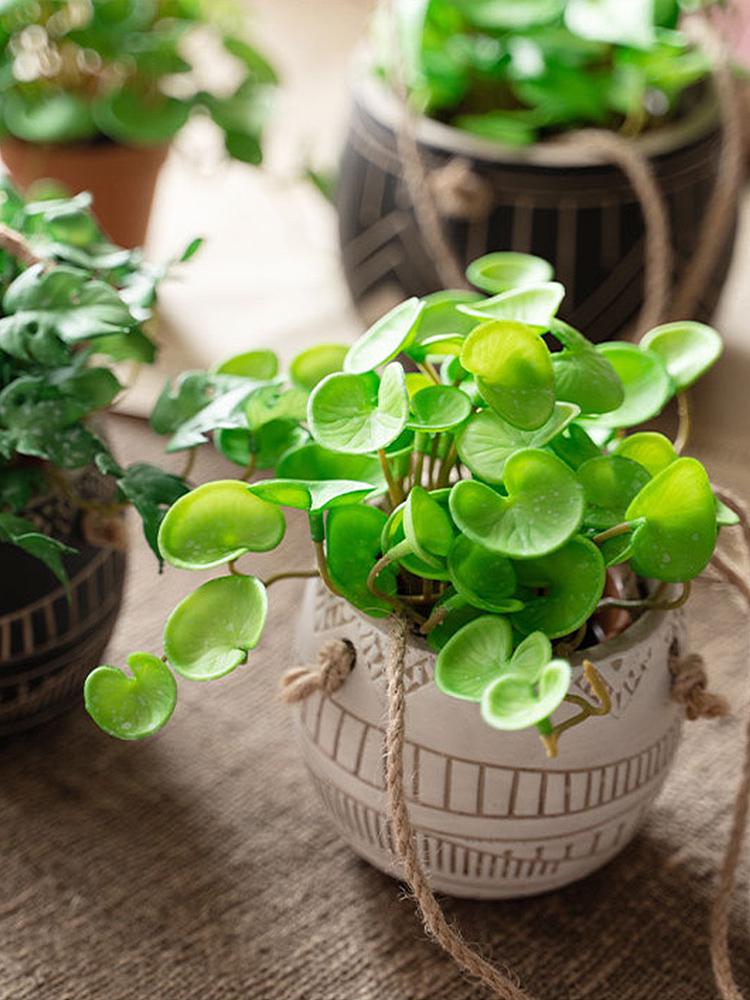 Huashe Red Air Succulent: Creative Faux Green Plant for Home Décor