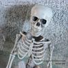 Halloween Hanging Skeleton Ghost: Scary Haunted House Prop