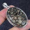 Turritella Fossil Gemstone Handmade 925 Sterling Silver Pendant 2.25" M8e12