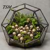 Small Resin Skull Crafts 20Pcs Creative Miniature Figurines, Cool Statues for Garden Bonsai Window Display Gothic Decor Decoration, Micro Landscapes