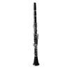 Bb Clarinet Engineering Plastic Ni Plated Key Professional Clarinet with Gloves Shoulder Strap