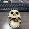 Gothic Skull Resin Rings Holder With Multifunctional Use As Jewelry Tray Or Ashtray