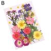 Pressed Mixed Organic Natural Dried Flowers DIY Art Handicraft Gift Decoration