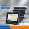 Solar LED Courtyard & Street Light with Motion Sensor for Indoor/Outdoor Use