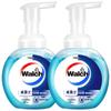 Walch Health Care Foam Hand Soap