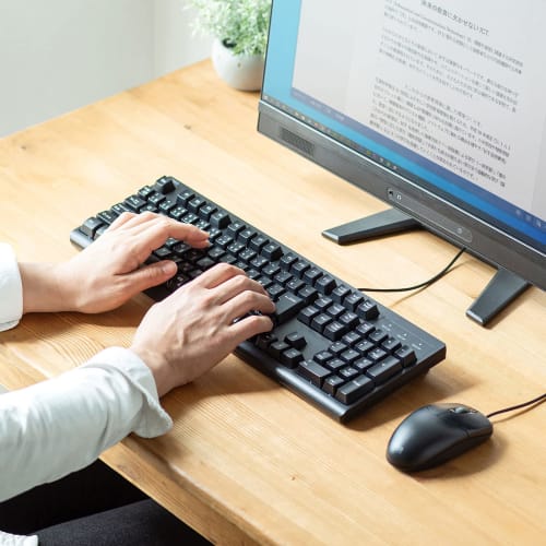 Sanwa Supply Keyboard, Wired USB Connection, Antibacterial, Waterproof, Dustproof Type, Japanese 109 Keys, Black SKB-BS6BK