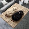2025 New Bw Cute Carpet Rug for Living Room Bedroom Home Sofa Decoration,Kids Play Non-slip Floor Mat