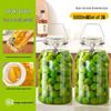 10 Jin Food Grade Sealed Glass Jar for Sparkling Wine & Brewed Fruit Wines