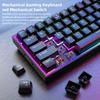 Custom Blue Switch Mechanical Keyboard - 68-Key Wired Office & Gaming with Side-Printed Keys