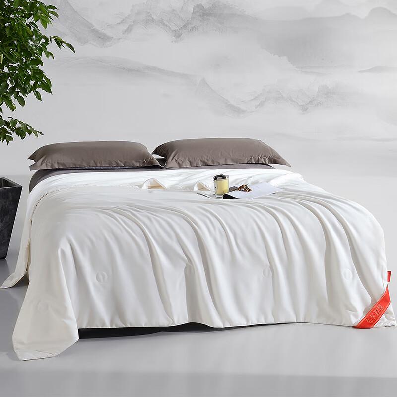 Huaxinxi Natural Silk All-Season Quilt