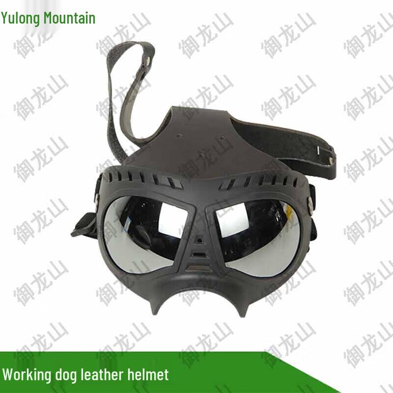 Yulongshan Leather Dog Helmet with Goggles