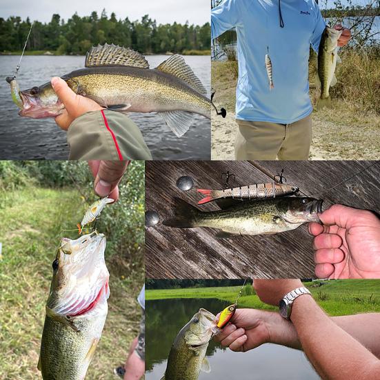 Artificial Lure Shrimp Fake Bait with Sharp Hook Realistic Looking Bright Color Lightweight Portable Bionic Bait Hard Lure