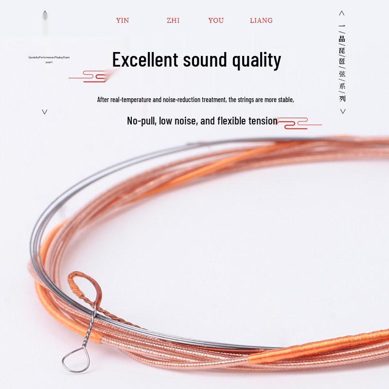 Zhongruan Strings: Professional Exam-Level, Advanced Performance Open 1234 Strings