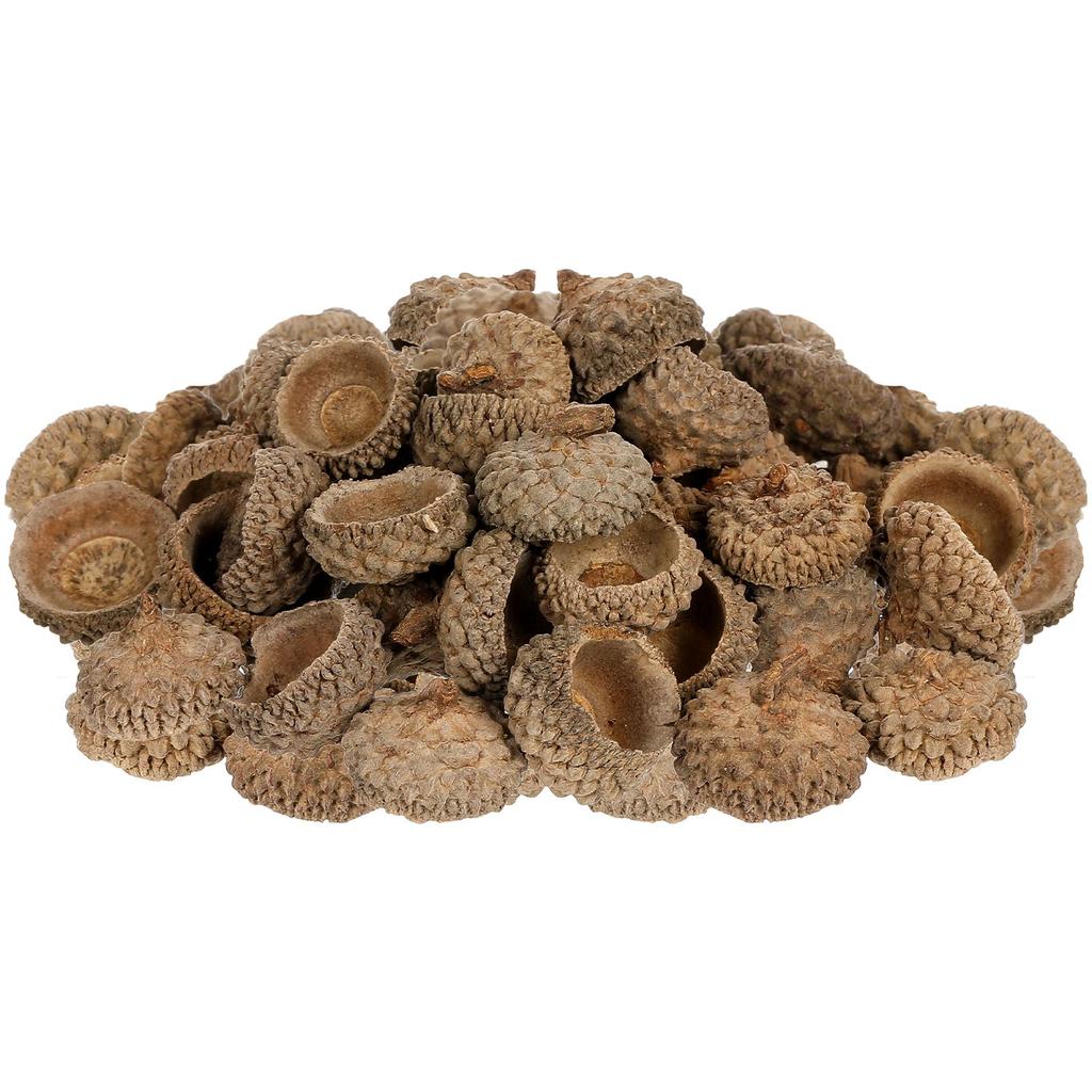 50/100PC Natural Acorn Cap Dried Acorn Decorative Christmas Tree Hanging Pendant DIY Autumn Fall Ornament For Golden Christmas