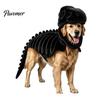 Pet Photography Prop Dinosaur Skeleton Costume, Glow-in-The-Dark 3D Apparel, Halloween Holiday Party Dog Clothes Dino Outfit for Dogs Cats,