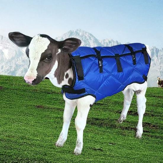 Winter Cow Blanket Waterproof Quilted Horse Blanket with Belly Wrap Windproof Plush Lined Turnout Blanket with Adjustable Buckles for Calves Horses