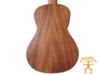 aNueNue Mini Koa Mini Concert Ukulele aNN-MCK