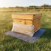 Raubwespen-Schutznetz Langlebiger Bienenstock-Eingangsschutz Wespen-Schutzgitter Flexibler Kunststoff Imker-Netz Faltbar