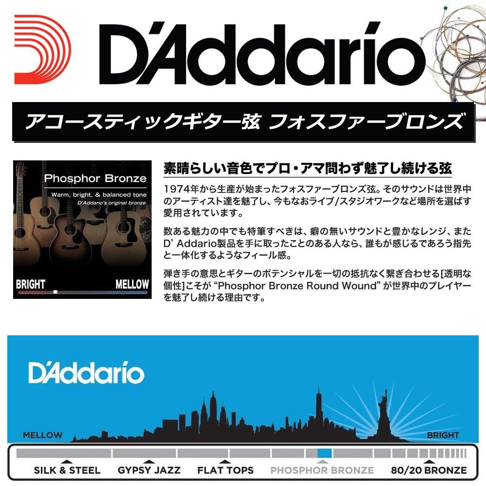 Phosphor Bronze Acoustic Guitar Pack of 10 D'Addario .024 Strings, PB024,