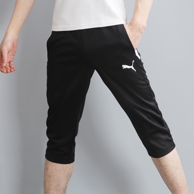 Puma Team Liga Training 3 4 Pants