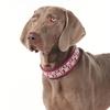 Vintage Retro Reflecterende Hondenhalsband Metalen Gesp Ademend Verstelbaar Buiten Wandelen voor Middelgrote Grote Honden