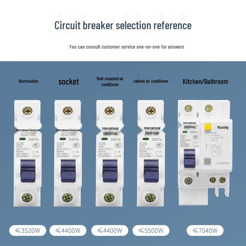 Wyłącznik dwubiegunowy: 16A/63A Główny i Miniaturowy Ochronnik Zasilania