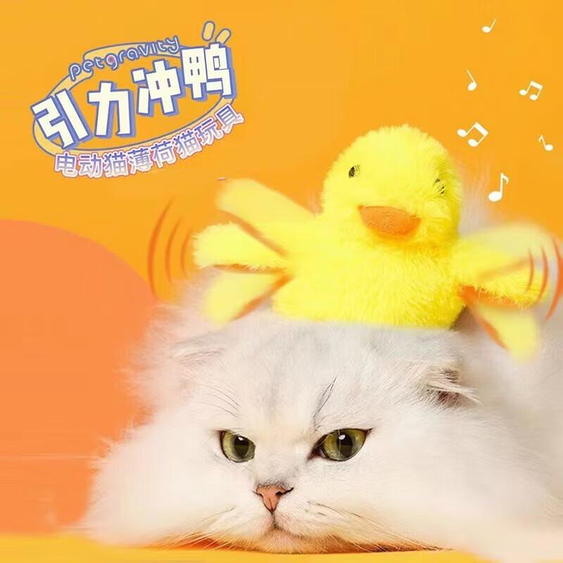 Yun Xiaoshi Quietscheente Spielzeug für Haustierkatzen