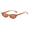 Spring New Sunglasses European And American Personality Cat Eye Internet Celebrities Same Glasses Fashion Small Frame Sunglasses Women