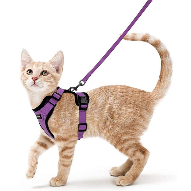 Welpen-Mesh-Set für kleine Katzen, Geschirr und Leine, verstellbare Weste, fluchtsicher für Haustier, Kätzchen, einfache Kontrolle, reflektierendes Hundegeschirr