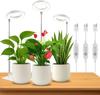 Xiaomi Dual-Use Ring Grow Light Plants USB Full Spectrum Indoor Greenhouse Succulents Led Grow Lighting 4/8/12/18Hours Auto Timer