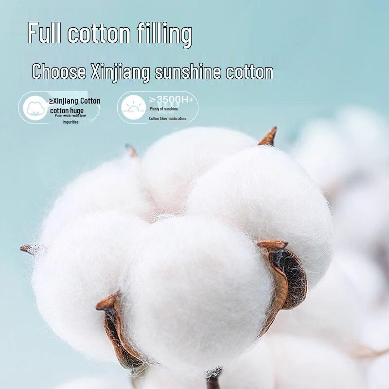 Xinjiang Cotton Summer Thin Quilt