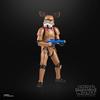 Hasbro Star Wars Black Series Stormtrooper (Holiday Edition), Star Wars Premium Collectible 15cm Action Figure G1398, Authentic