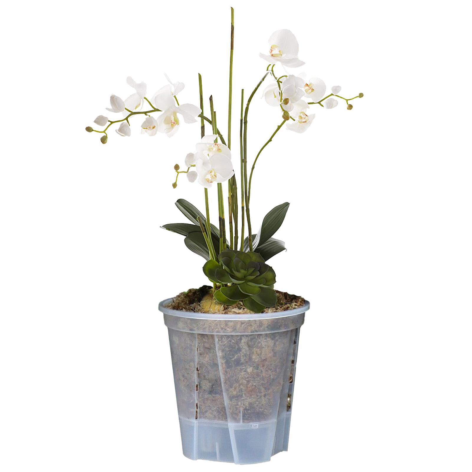 5pcs water-storing transparent green mountain pot, self-absorbing lazy person control root pot, Phalaenopsis pot, plastic flower