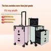 Professional Rolling Makeup & Beauty Tool Case