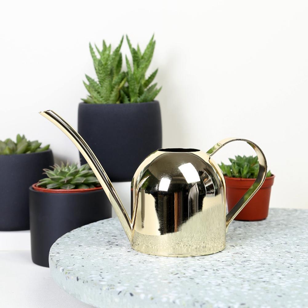 500ml Stainless Steel Watering Can Long Mouth Sprinkling Pot for Outdoor and Indoor House