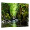 PANEL SZKLANY DO KUCHNI 65x60 Las