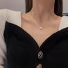 Collier élégant en acier titane zirconium micro-incrusté sud-coréen: Une chaîne clavicule argentée polyvalente, simple et tendance
