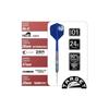 Target Japan CHARIS G5 Kathy Leung Player 90% Tungsten K-Flex Steel Tip Darts Set, 22G, No. 6 Shape, Flights and Shafts, SWISS SILVER NANO POINT 30mm