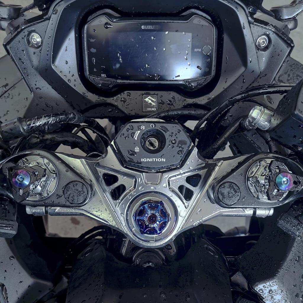 LEDISHUN Motorcycle Equipment Initial Adjuster Type (Left and Right 1 Set) Fits Suzuki GSX250R V-Strom 250 GSR250 All Years (Titanium)