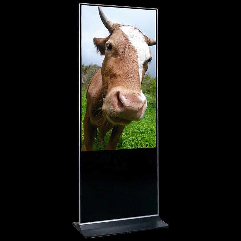Changyu 55-inch Vertical Touch Advertising Display (CN version)