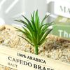 1 bucă plante suculente artificiale grădină realistă DIY Home Office Bonsai Decor