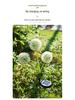 Solar Dandelion Flower Courtyard Light - Outdoor Decorative Onion Ball Atmosphere Lamp
