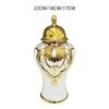 Ceramic Ginger Jar Vase Porcelain Canister Container Ornament with Lid for Centerpiece Display